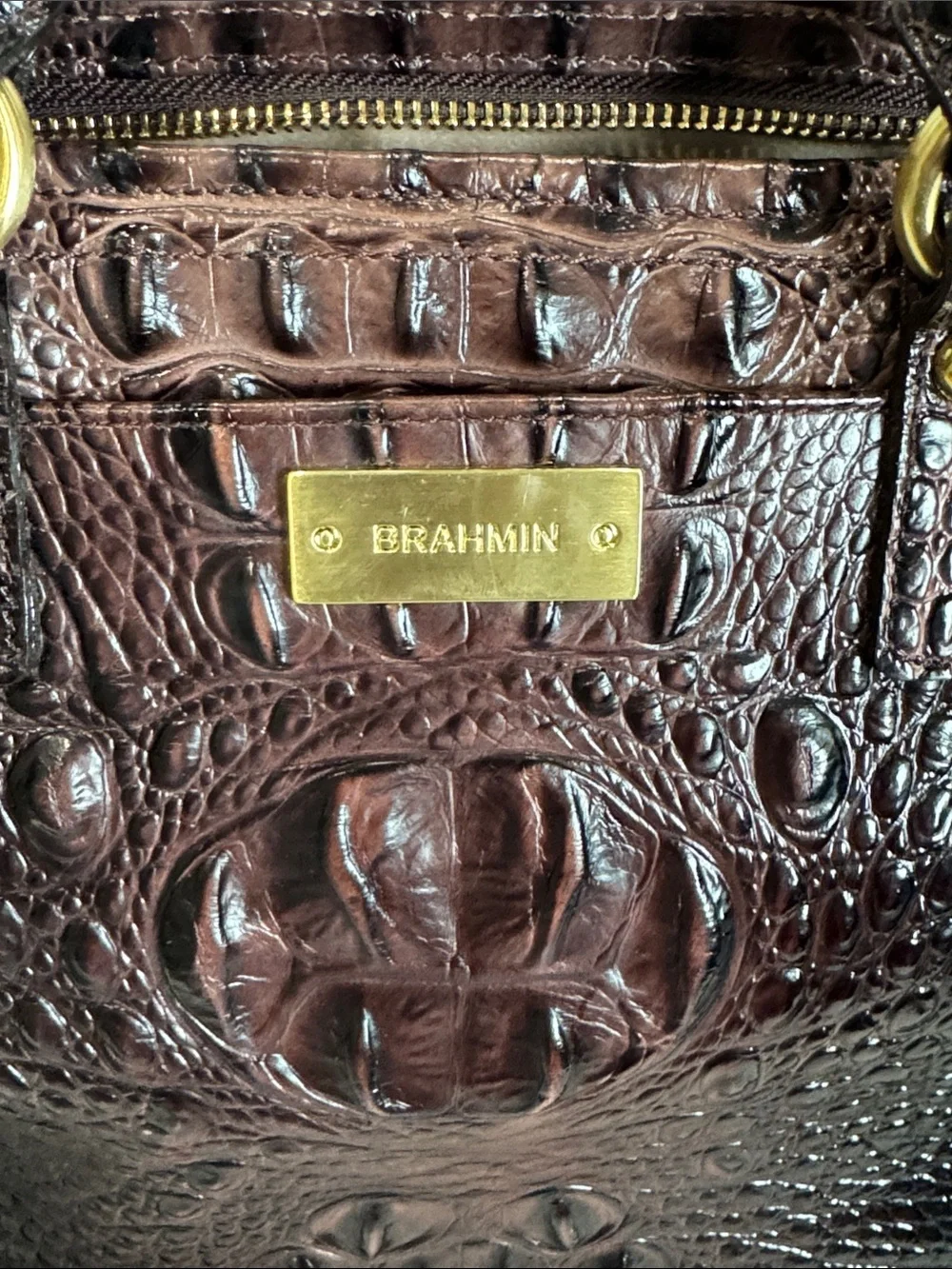 Brahmin structured satchel